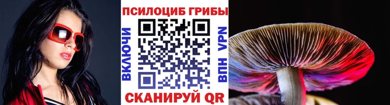 Галлюциногенные грибы Psilocybe  Менделеевск 
